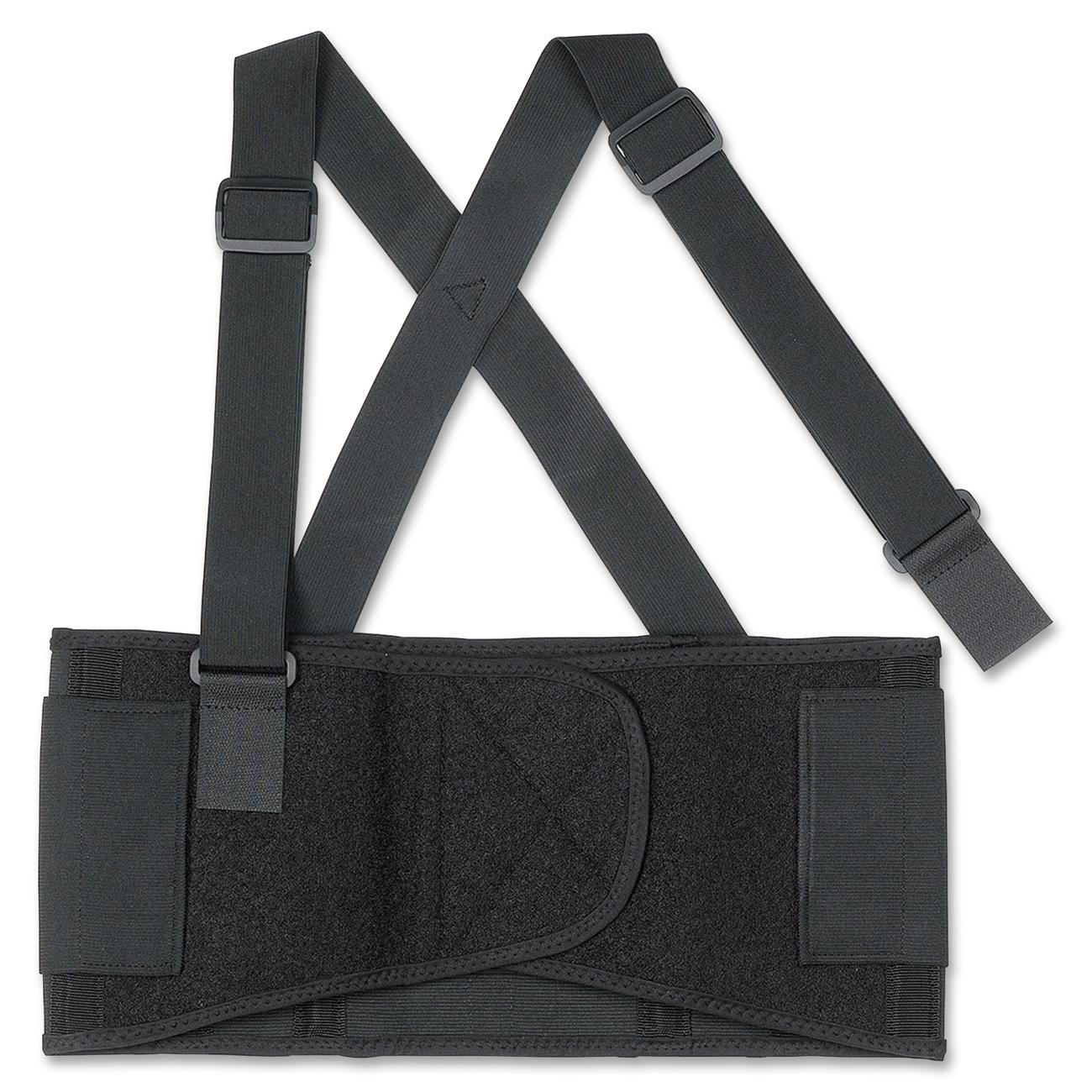 Ergodyne Back Support LD Products
