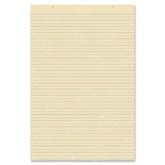 Pacon Recyclable Ruled Tagboard Sheet - 100 per pack
