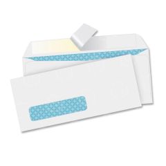 Business Source Business Envelope - 500 per box
