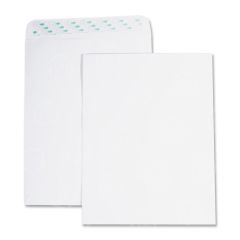 Business Source Removable Strip Catalog Envelopes - 100 per box