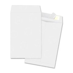 Business Source Document Mailer - 100 per box