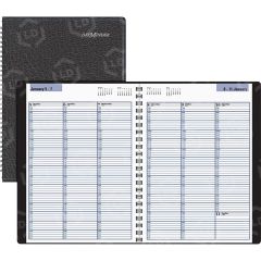 At-A-Glance Professional Appointment Book