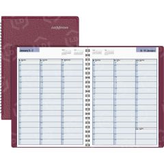 At-A-Glance Professional Appointment Book