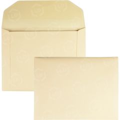 Quality Park Document Envelope - 100 per box