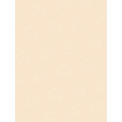 Pacon Medium Weight Tagboard Paper - 100 per pack