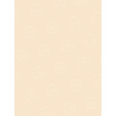 Pacon Tagboard Paper - 100 per pack