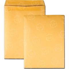 Quality Park Redi-Seal Catalog Envelope - 100 per box