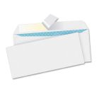 Business Source Business Envelopes - 500 per box