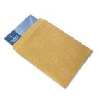 Business Source Plain Catalog Envelope - 250 per box