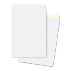 Business Source Plain Cataloge Envelope - 250 per box