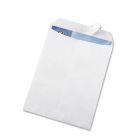 Business Source Removable Strip Catalog Envelopes - 100 per box
