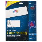Avery 2" x 4" Rectangle Color Printing Labels (Inkjet) - 200 per pack