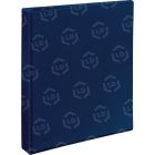 Avery EZD Non-Stick View Binder