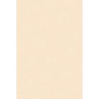 Pacon Tagboard Paper - 100 per pack