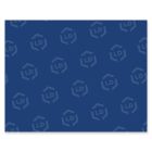 Pacon Peacock Railroad Poster Board - 25 per carton