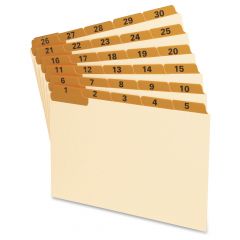 Oxford Lamianted Index Card Guides - 31 per set