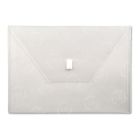 Lion Design-R-Line Poly Envelope