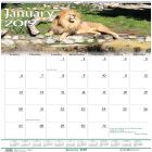 House of Doolittle Wildlife Wall Calendar