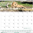 House of Doolittle Wildlife Wall Calendar