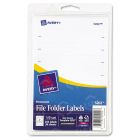 Avery 0.69" x 3.44" Rectangle Filing Label - 252 per pack
