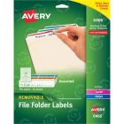 Avery 0.66" x 3.43" Rectangle Assorted Removable Filing Label - 750 per pack