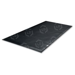 Genuine Joe Clean Step Scraper Mat