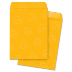Business Source Plain Catalog Envelope - 250 per box