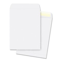 Business Source Plain Catalog Envelope - 250 per box