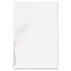 Business Source Plain Memorandum Pad - 12 per dozen - Unruled - 4" x 6"