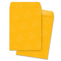 Business Source Catalog Envelope - 250 per box