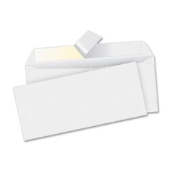 Business Source #10 Business Envelopes - 500 per box
