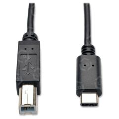 Tripp Lite 6ft USB 2.0 Hi-Speed Cable B Male to USB Type-C USB-C Male