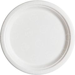 Eco-Products Sugarcane Plates - CT per carton