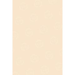 Pacon Tagboard Paper - 100 per pack