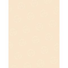 Pacon Tagboard Paper - 100 per pack