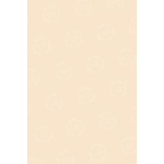 Pacon Tagboard Paper - 100 per pack
