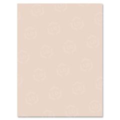 Pacon Tagboard Paper - 100 per pack