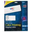 Avery 2" x 4" Rectangle Color Printing Labels (Inkjet) - 200 per pack