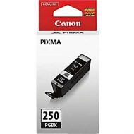 Canon OEM PGI-250 SY Black Ink Cartridge